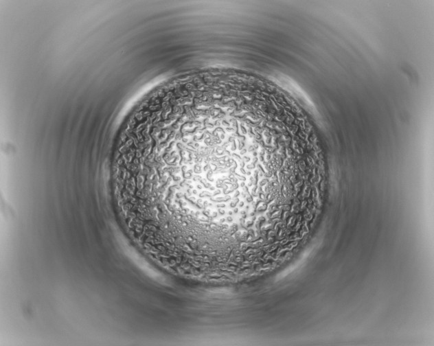 X0000091310798200708101502