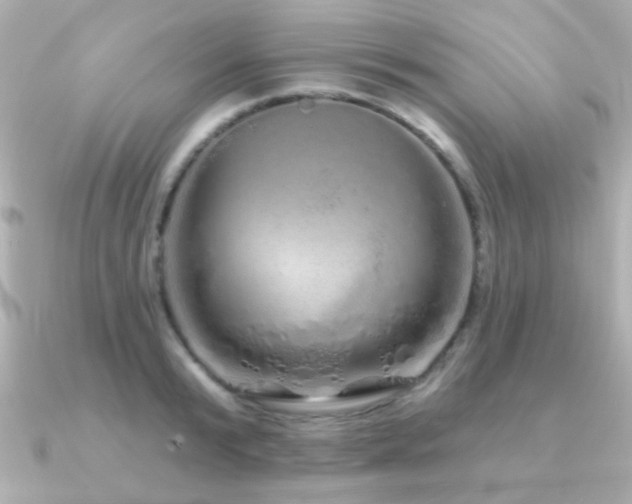 X0000091310799200708101502