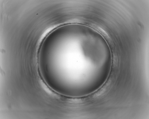 X0000091310800200708101502