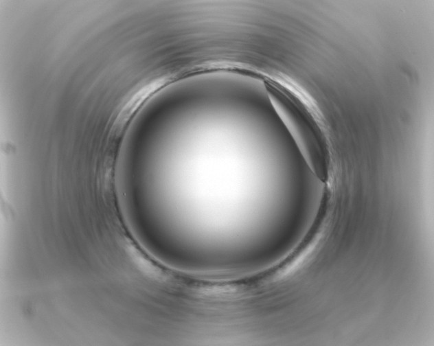 X0000091310801200708101502