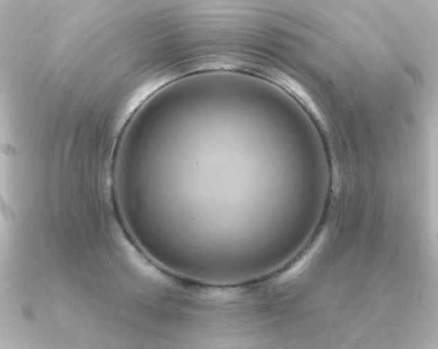 X0000091310802200708101502