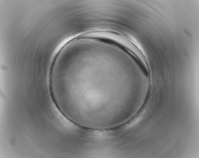 X0000091310803200708101502