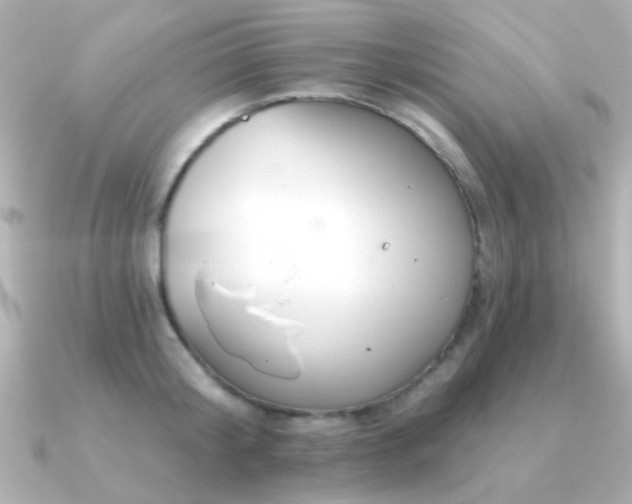 X0000091310804200708101502