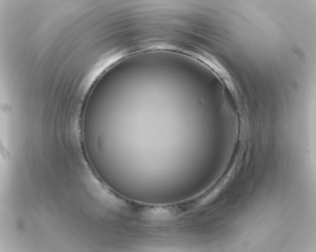 X0000091310806200708101502