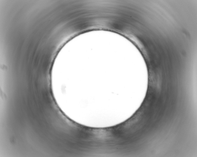 X0000091310807200708101502