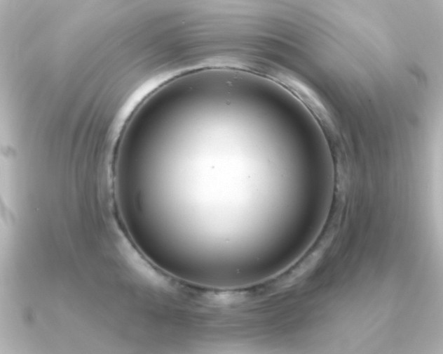 X0000091310808200708101502