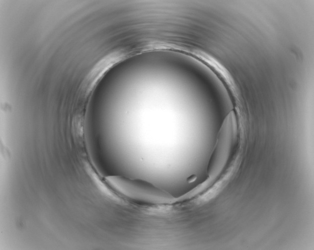 X0000091310809200708101502