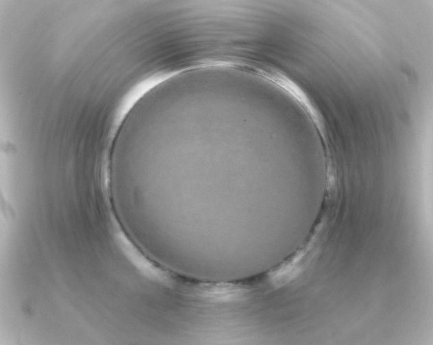 X0000091310811200708101502