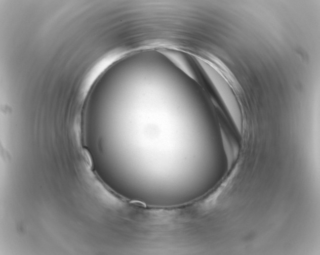 X0000091310812200708101502