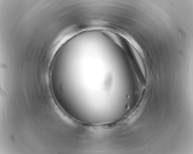 X0000091310813200708101502