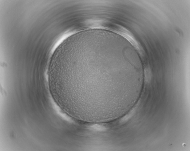 X0000091310814200708101502