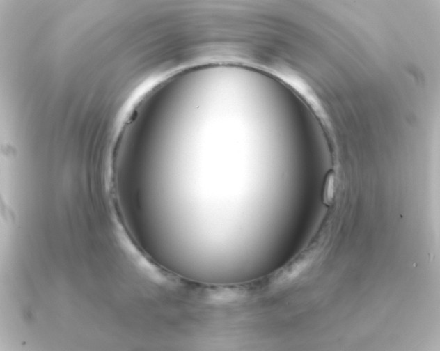 X0000091310815200708101502