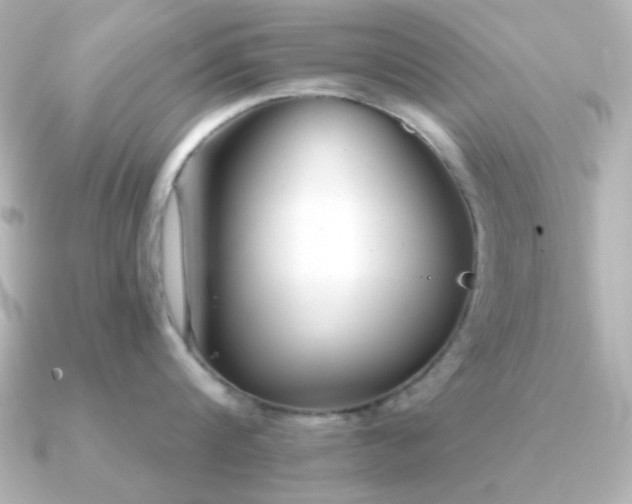 X0000091310816200708101502