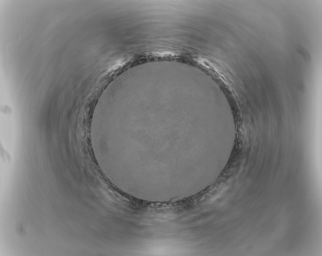 X0000091310817200708101502