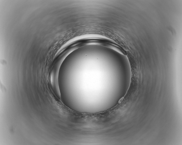 X0000091310818200708101502