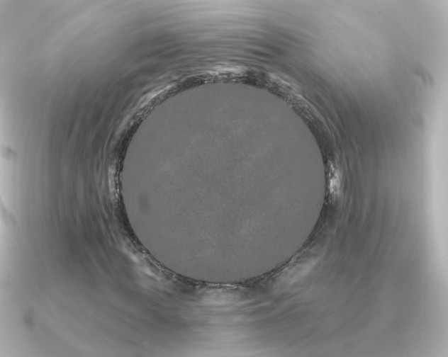 X0000091310819200708101502