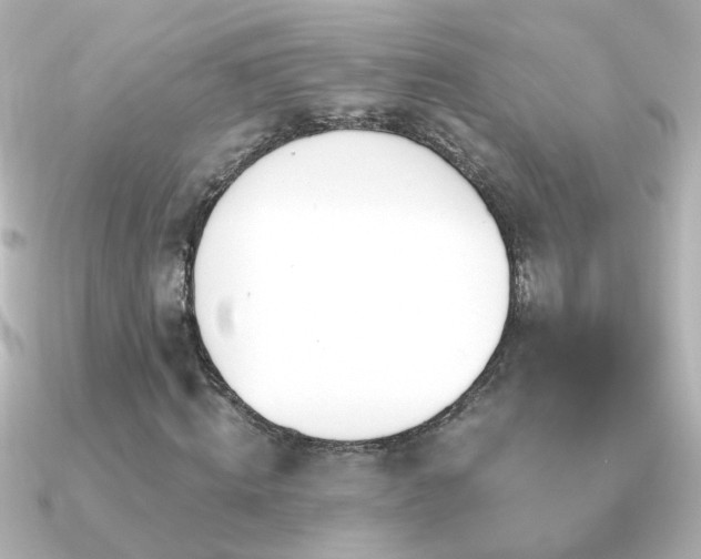 X0000091310820200708101502