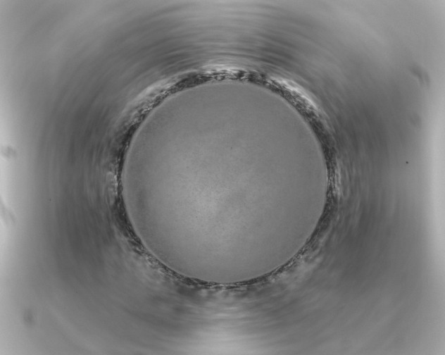 X0000091310821200708101502