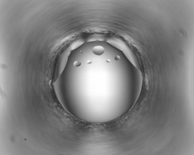 X0000091310822200708101502