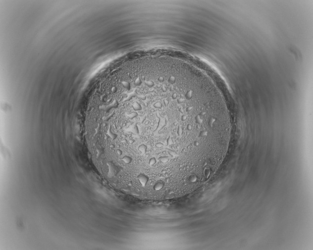 X0000091310823200708101502