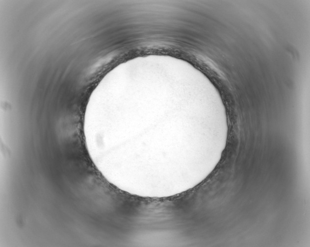 X0000091310824200708101502