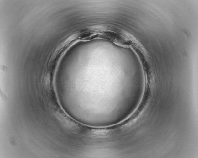 X0000091310825200708101502