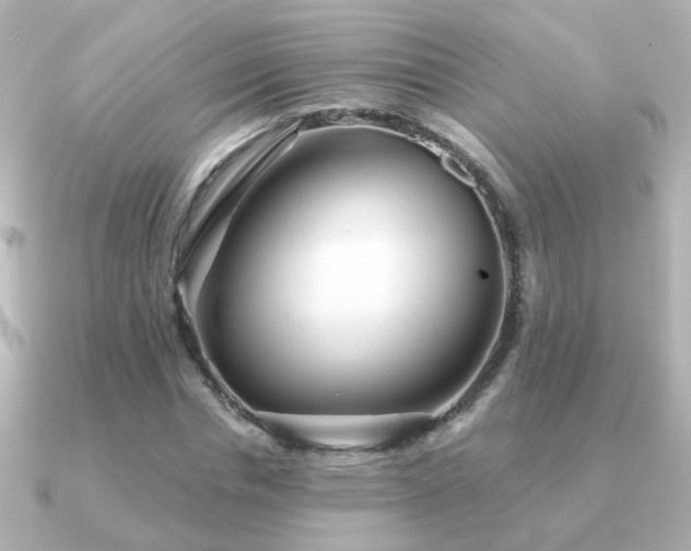 X0000091310826200708101502