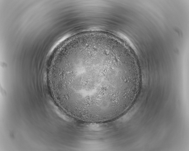 X0000091310827200708101502