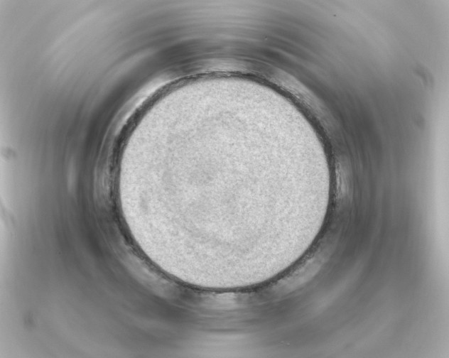 X0000091310828200708101502