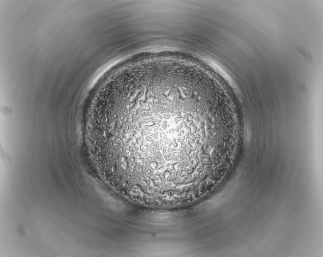 X0000091310829200708101502