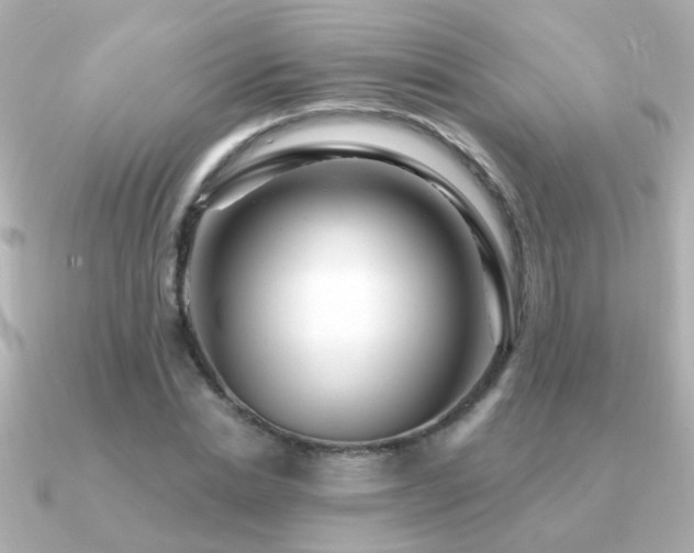 X0000091310830200708101502