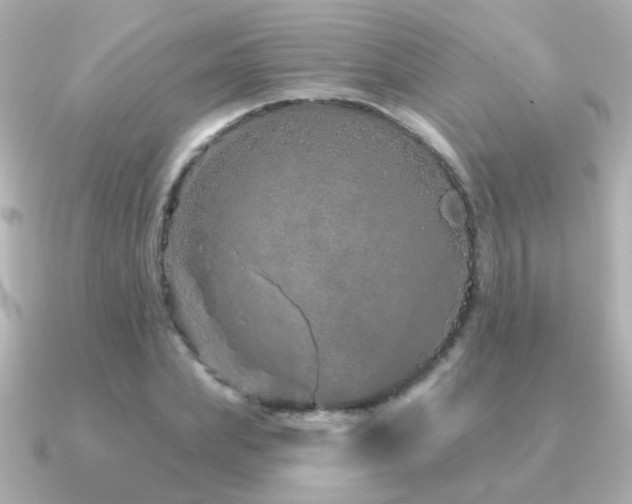 X0000091310831200708101502