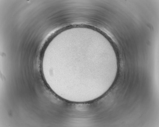 X0000091310832200708101502