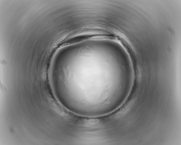 X0000091310833200708101502