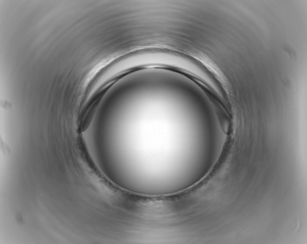 X0000091310834200708101502