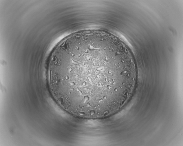 X0000091310835200708101502