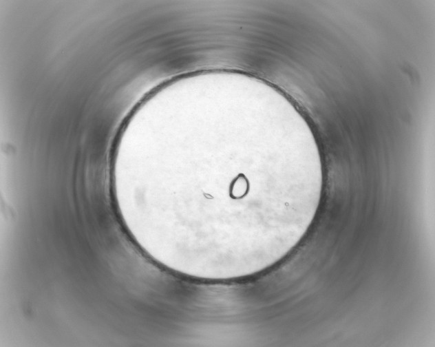 X0000091310836200708101502