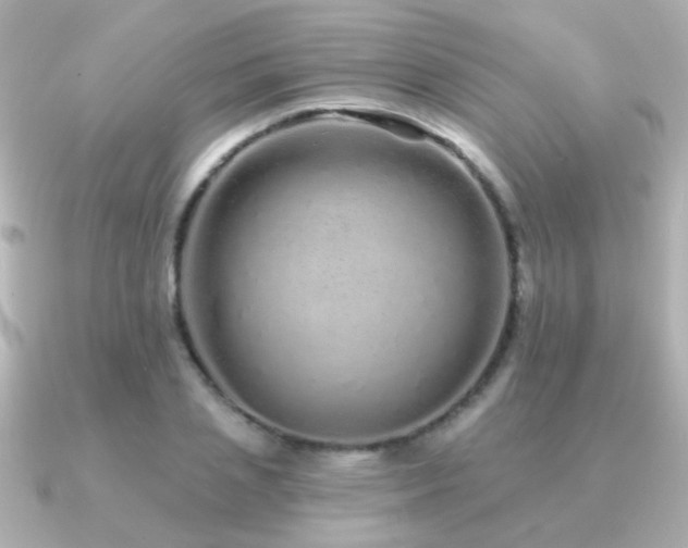 X0000091310837200708101502