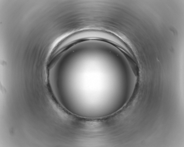 X0000091310838200708101502