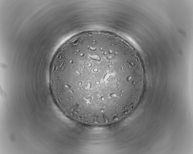 X0000091310839200708101502