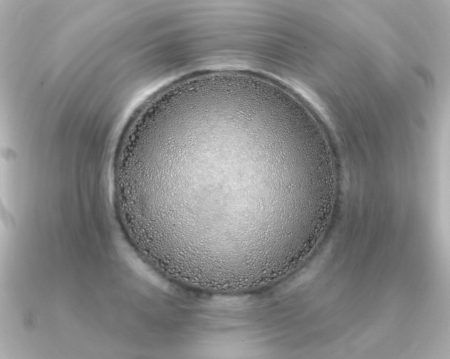 X0000091310840200708101502