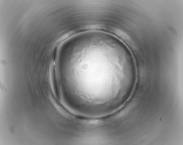 X0000091310841200708101502