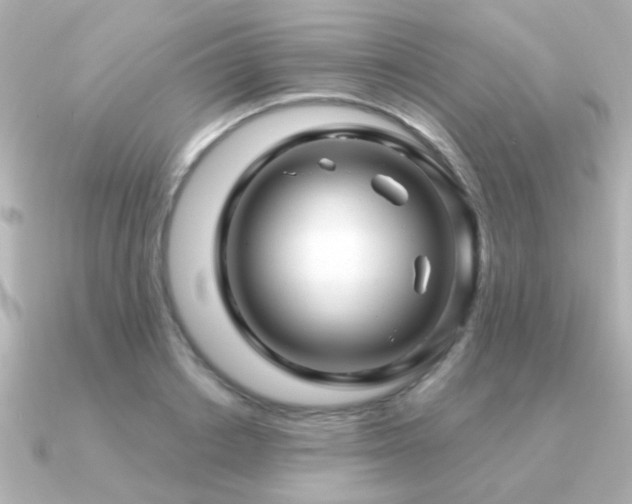 X0000091310842200708101502