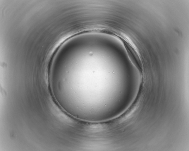 X0000091310843200708101502