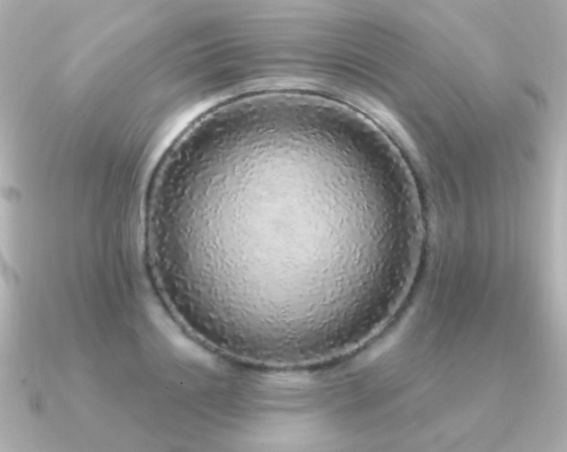 X0000091310844200708101502