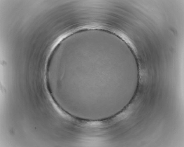 X0000091310845200708101502