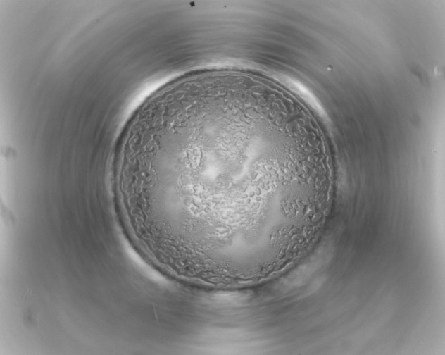 X0000091310847200708101502