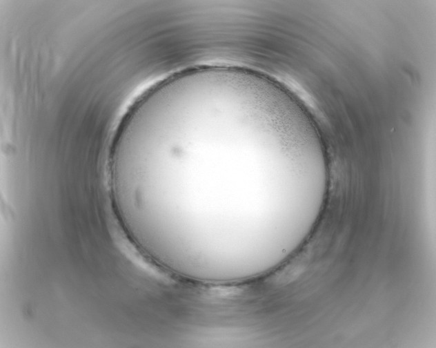 X0000091310848200708101502