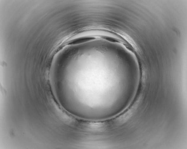 X0000091310849200708101502