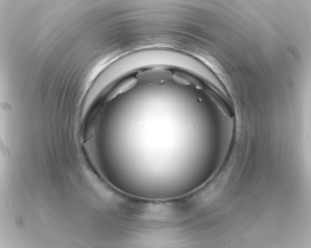 X0000091310850200708101502